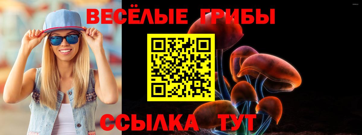 Галлюциногенные грибы GOLDEN TEACHER Серов